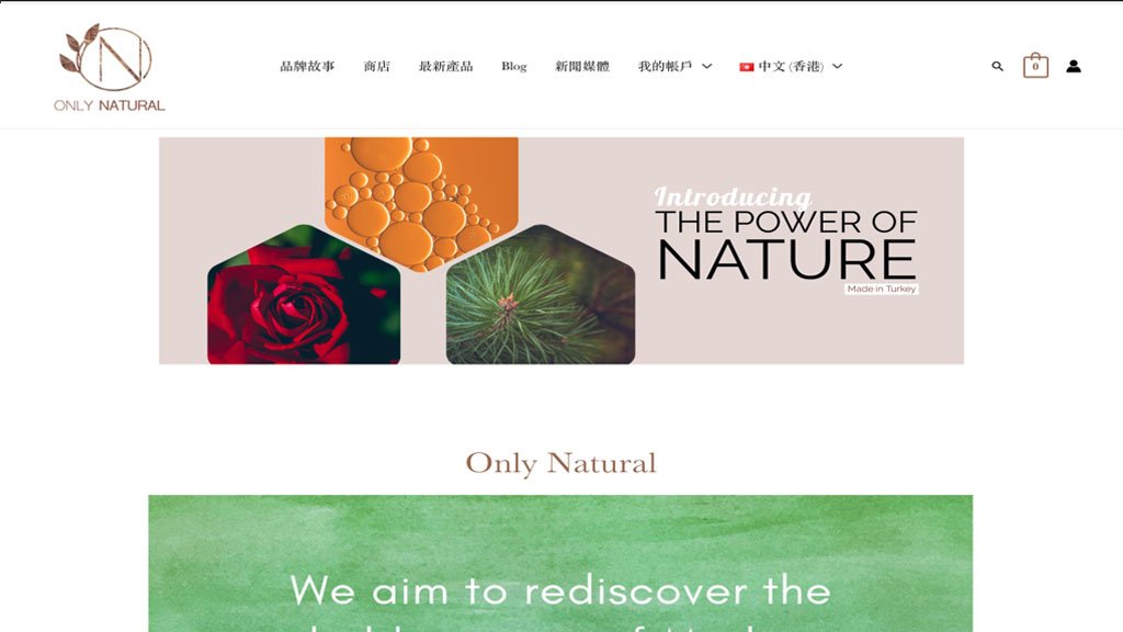 香港網頁設計公司推薦-公司網頁及網店製作_Onlynature